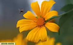 Nguyên nhân những khổ đau trên thế gian này