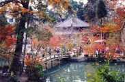 Độc đáo Kyoto