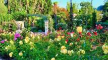 images (5)