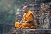 tổ chức khoá Thiền mừng xuân