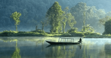 Món quà cuộc sống