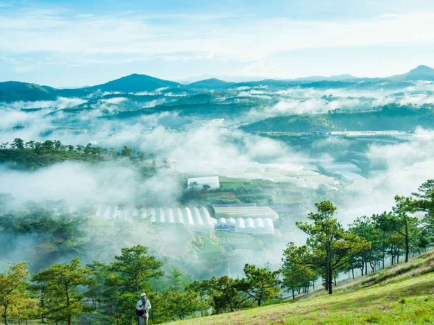 Đồi Đa Phú Đà Lạt: Vị trí, cách di chuyển, các điểm check-in hấp dẫn