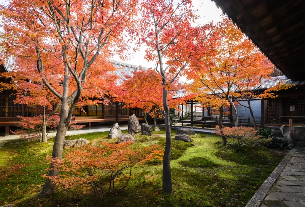 Phố cổ Gion mùa thu-Trải nghiệm mặc kimono dạo bước giữa Kyoto cổ kính