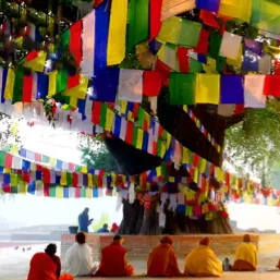 TP. HỒ CHÍ MINH – VARANASI