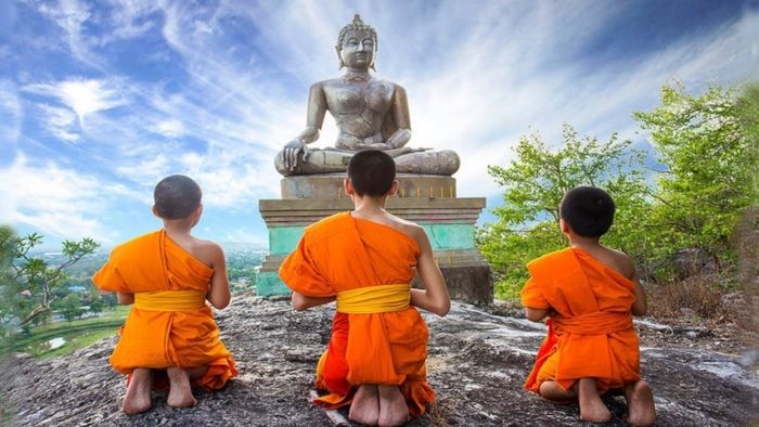 Các hạt giống vô giá trong tàng thức