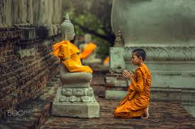 Con đừng học Phật và tu Phật phải luôn song hành với nhau
