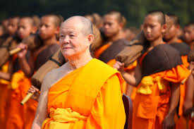 Thất giác chi