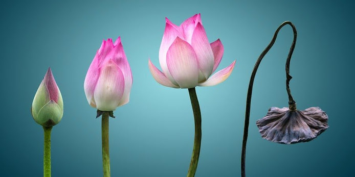 Lối vào hạnh Bồ Tát-00. Tiểu sử tôn giả Tịch Thiên (Sàntideva)