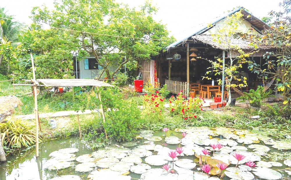 Phật dạy: Khéo chăm dưỡng người bệnh