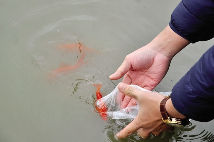 Chuyện tháng 7: Đôi điều về phóng sanh