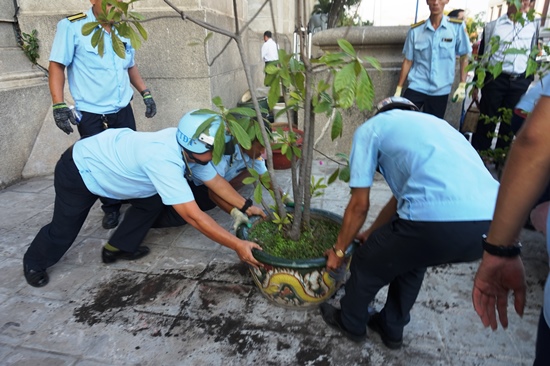 Hiệu ứng của những cuộc ra quân