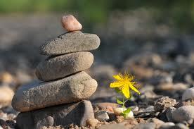 Tìm hiểu bản chất khổ đau