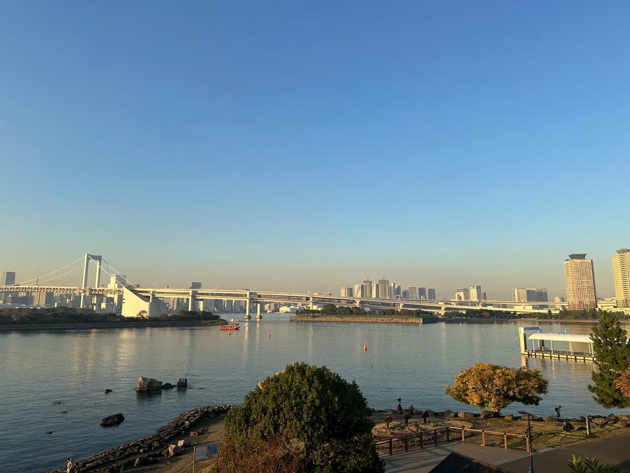 Vẻ đẹp cây cảnh thiên nhiên