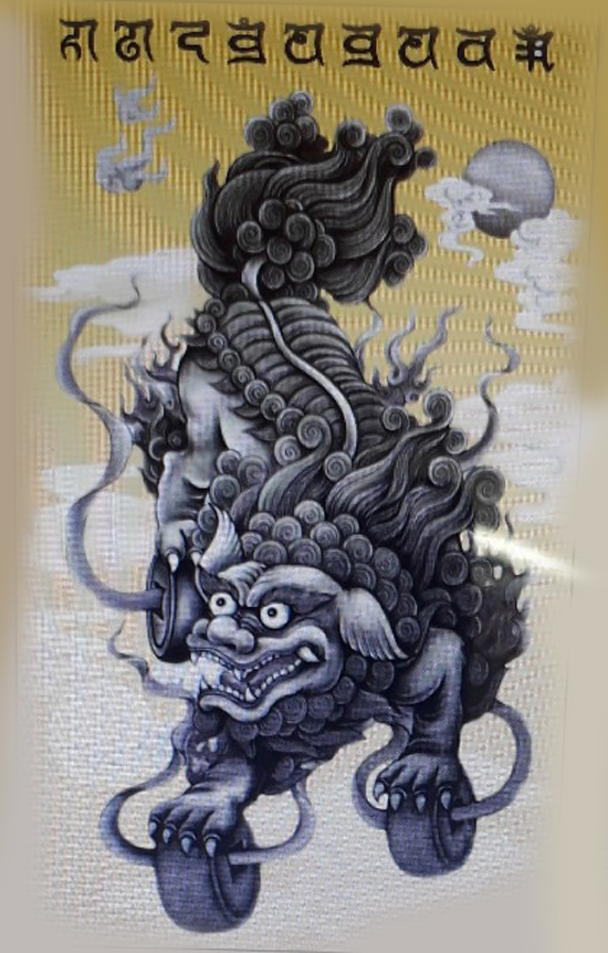 Song khai Pháp bị SKPB 013