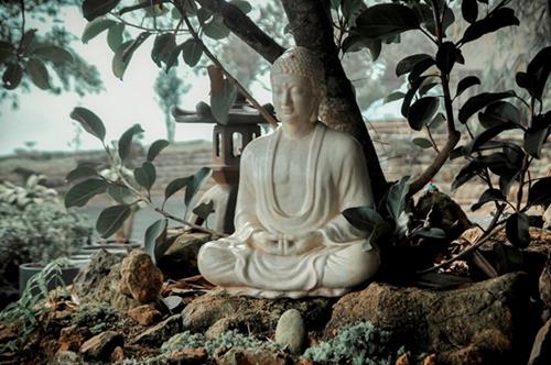 Lời Phật dạy: Hãy tha thứ cho người làm tổn thương bạn, bởi đó đều là người độ bạn!