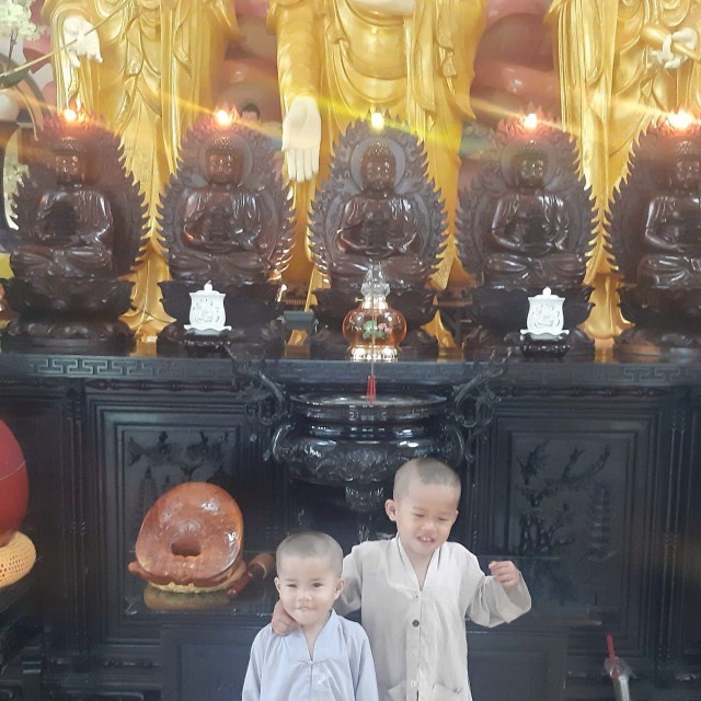 Cần Một Trái Tim