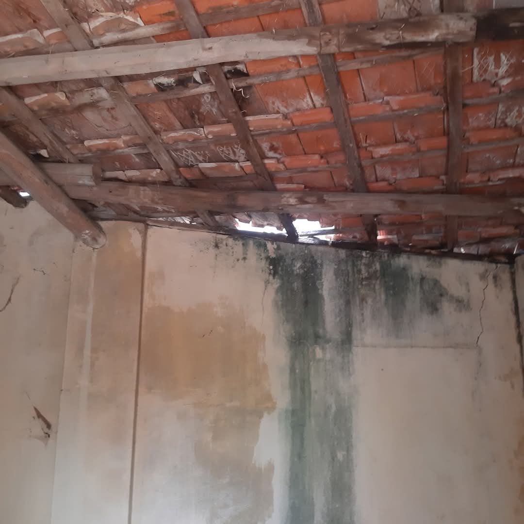 FB IMG 1754369803144